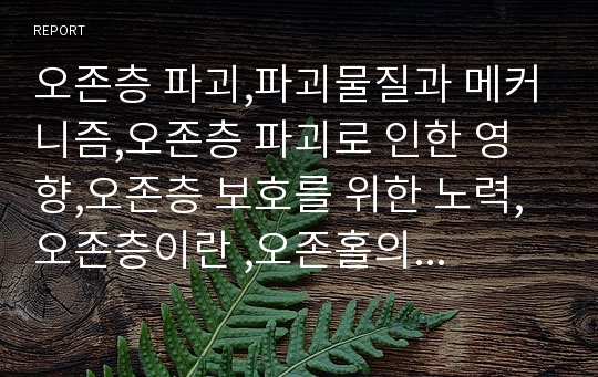 오존층 파괴,파괴물질과 메커니즘,오존층 파괴로 인한 영향,오존층 보호를 위한 노력,오존층이란 ,오존홀의 확대,국제 조약