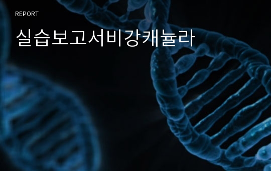 실습보고서비강캐뉼라