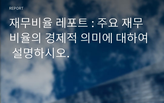 재무비율 레포트 : 주요 재무비율의 경제적 의미에 대하여 설명하시오.