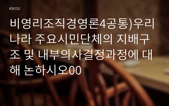 비영리조직경영론4공통)우리나라 주요시민단체의 지배구조 및 내부의사결정과정에 대해 논하시오00