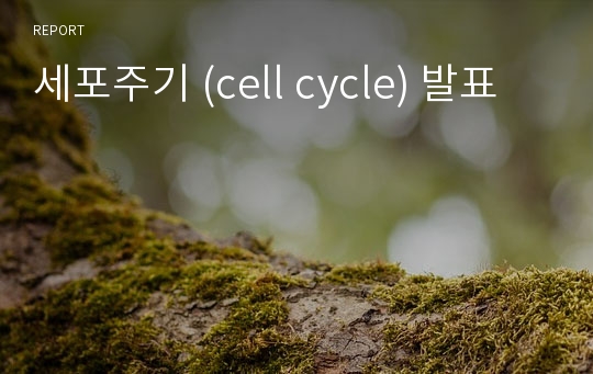 세포주기 (cell cycle) 발표