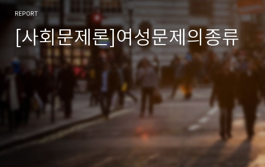 [사회문제론]여성문제의종류