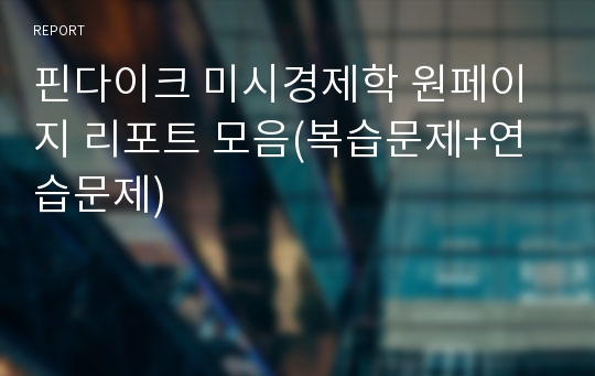 핀다이크 미시경제학 원페이지 리포트 모음(복습문제+연습문제)