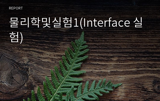 물리학및실험1(Interface 실험)