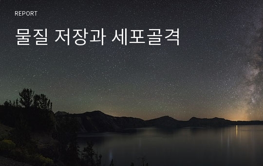 물질 저장과 세포골격