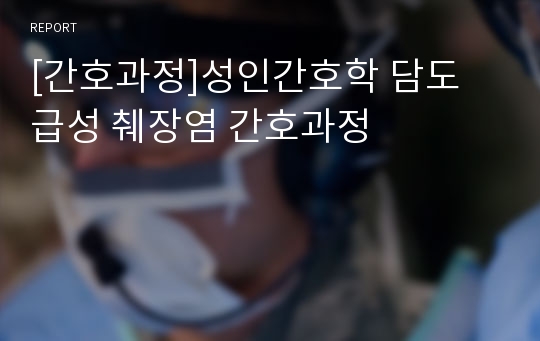 [간호과정]성인간호학 담도 급성 췌장염 간호과정