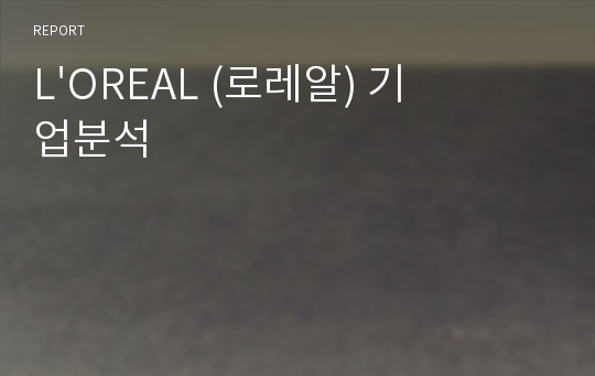 L&#039;OREAL (로레알) 기업분석