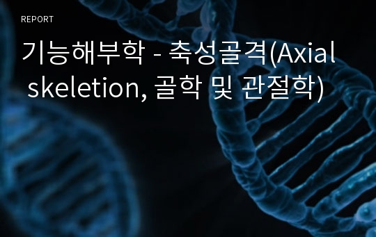 기능해부학 - 축성골격(Axial skeletion, 골학 및 관절학)