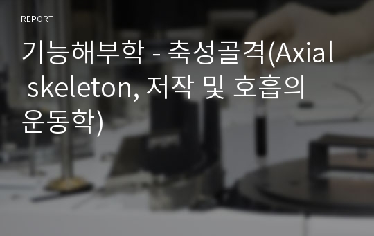 기능해부학 - 축성골격(Axial skeleton, 저작 및 호흡의 운동학)