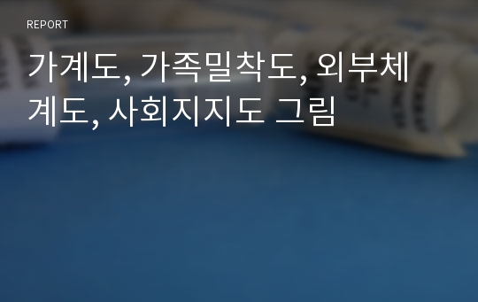 가계도, 가족밀착도, 외부체계도, 사회지지도 그림