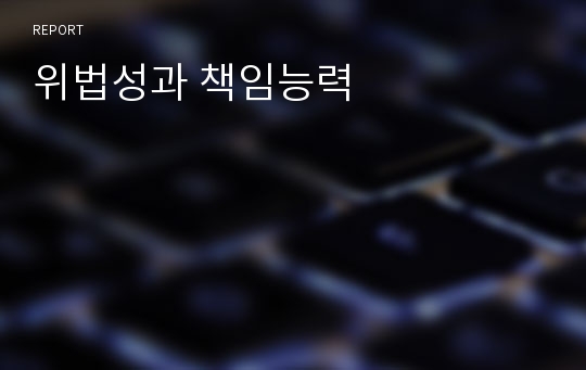 위법성과 책임능력