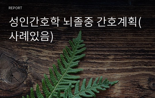 성인간호학 뇌졸중 간호계획(사례있음)