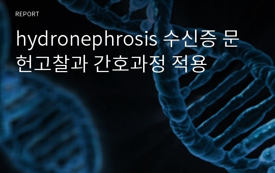 hydronephrosis 수신증 문헌고찰과 간호과정 적용