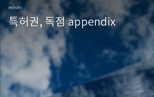 특허권, 독점 appendix