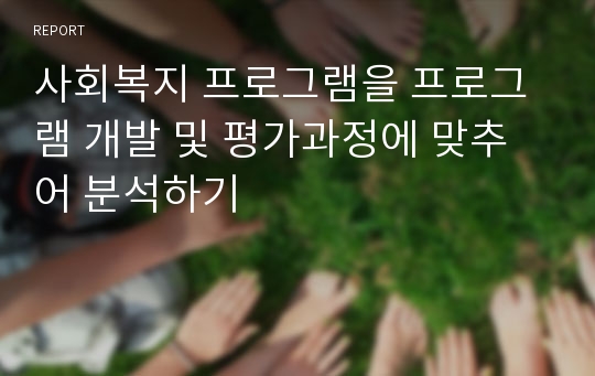 사회복지 프로그램을 프로그램 개발 및 평가과정에 맞추어 분석하기