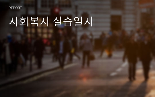 사회복지 실습일지