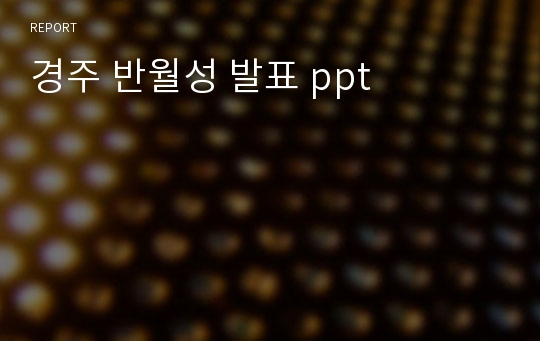 경주 반월성 발표 ppt