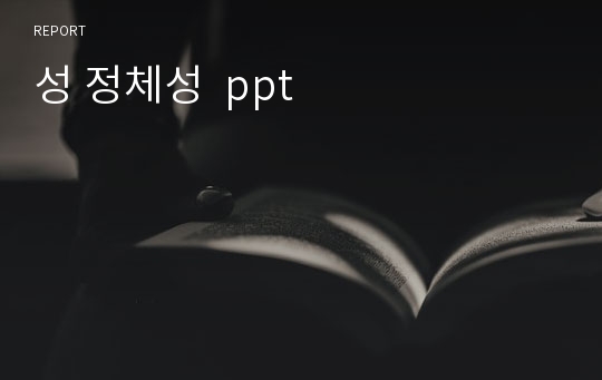 성 정체성  ppt