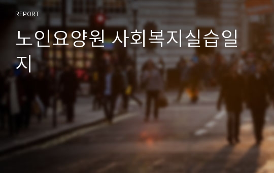 노인요양원 사회복지실습일지