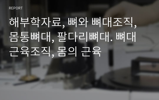 해부학자료, 뼈와 뼈대조직, 몸통뼈대, 팔다리뼈대. 뼈대근육조직, 몸의 근육