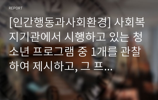 [인간행동과사회환경] 사회복지기관에서 시행하고 있는 청소년 프로그램 중 1개를 관찰하여 제시하고, 그 프로그램의 장점과 수정 보완해야 할 점을 서술하시오