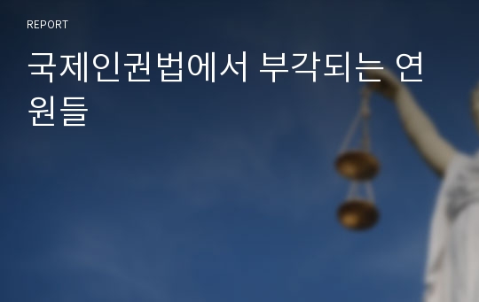 국제인권법에서 부각되는 연원들