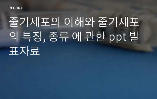 줄기세포의 이해와 줄기세포의 특징, 종류 에 관한 ppt 발표자료