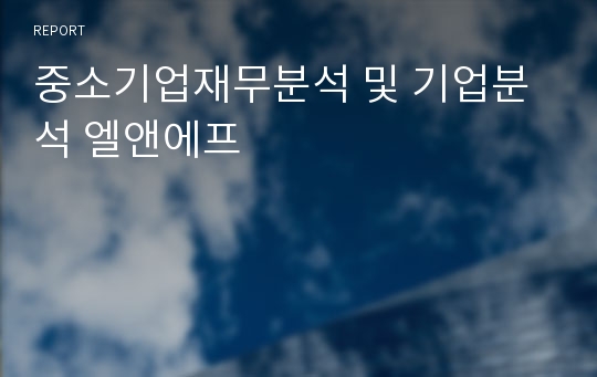 중소기업재무분석 및 기업분석 엘앤에프