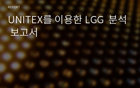 UNITEX를 이용한 LGG  분석 보고서