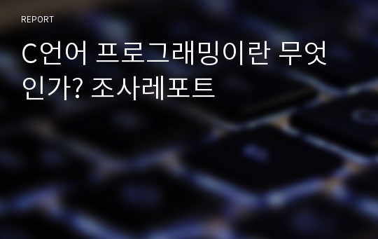 C언어 프로그래밍이란 무엇인가? 조사레포트