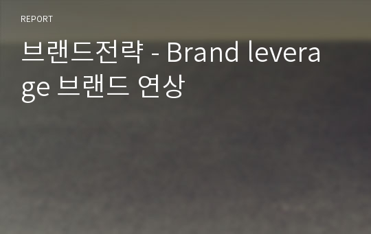 브랜드전략 - Brand leverage 브랜드 연상