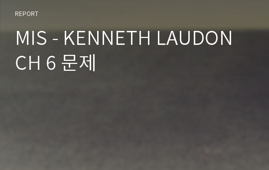 MIS - KENNETH LAUDON CH 6 문제