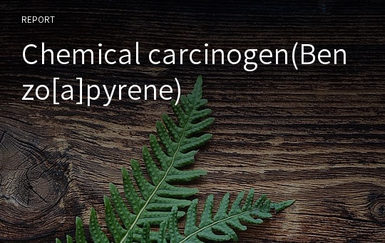 Chemical carcinogen(Benzo[a]pyrene)