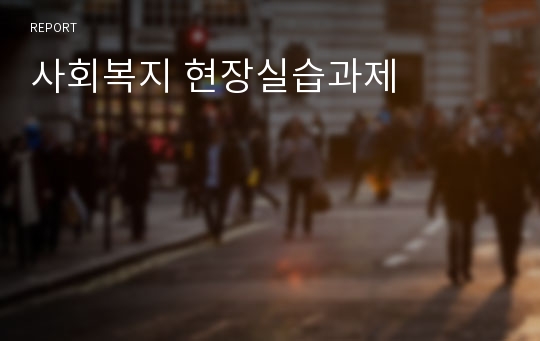 사회복지 현장실습과제