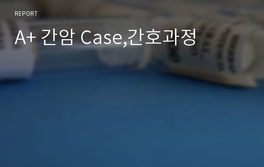 A+ 간암 Case,간호과정