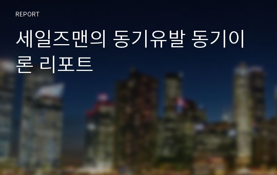 세일즈맨의 동기유발 동기이론 리포트