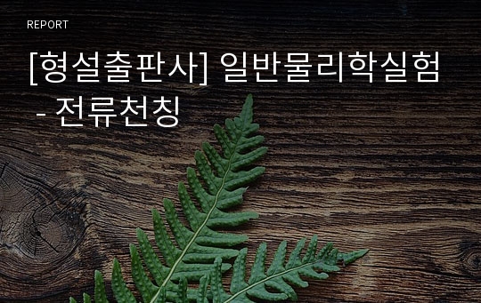 [형설출판사] 일반물리학실험 - 전류천칭