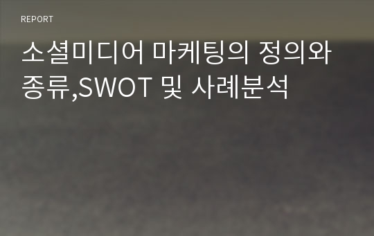 소셜미디어 마케팅의 정의와 종류,SWOT 및 사례분석