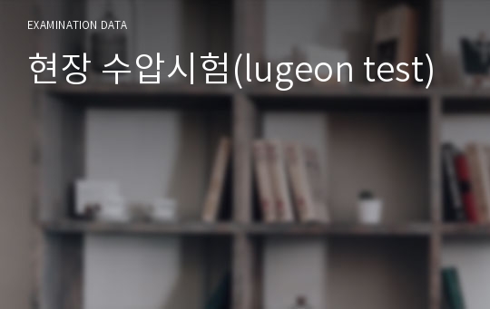 현장 수압시험(lugeon test)