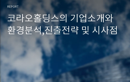 코라오홀딩스의 기업소개와 환경분석,진출전략 및 시사점