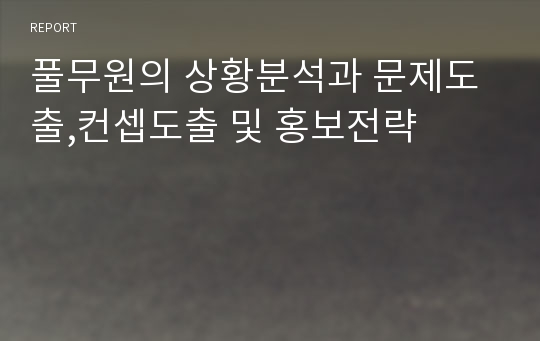 풀무원의 상황분석과 문제도출,컨셉도출 및 홍보전략