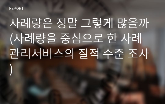 사례량은 정말 그렇게 많을까(사례량을 중심으로 한 사례관리서비스의 질적 수준 조사)