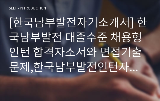 [한국남부발전자기소개서] 한국남부발전 대졸수준 채용형인턴 합격자소서와 면접기출문제,한국남부발전인턴자기소개서,한국남부발전자소서항목