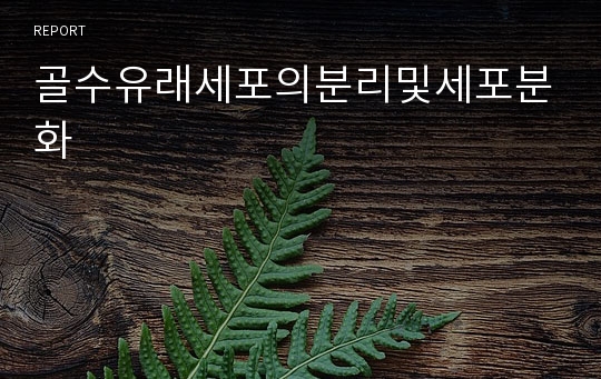 골수유래세포의분리및세포분화