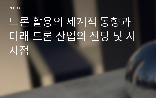 드론 활용의 세계적 동향과 미래 드론 산업의 전망 및 시사점