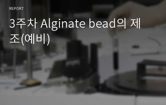 3주차 Alginate bead의 제조(예비)