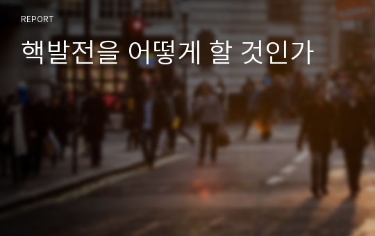 핵발전을 어떻게 할 것인가