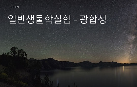 일반생물학실험 - 광합성