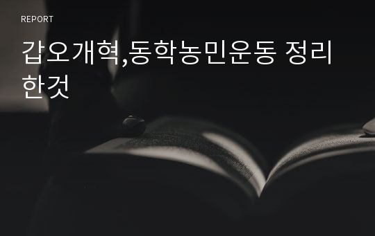 갑오개혁,동학농민운동 정리한것