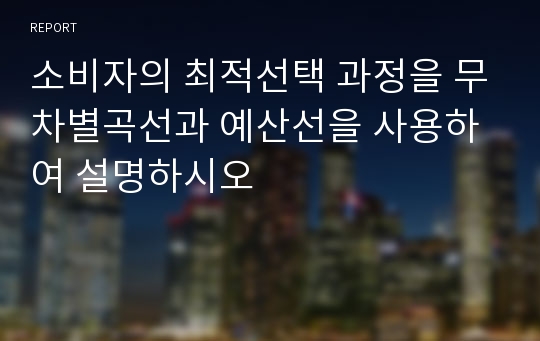 소비자의 최적선택 과정을 무차별곡선과 예산선을 사용하여 설명하시오